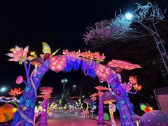-沈阳奥林匹克体育中心