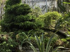 -凤来栖·净庭院·火锅(欧尚店)