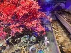-真定郝家排骨(正定县总店)
