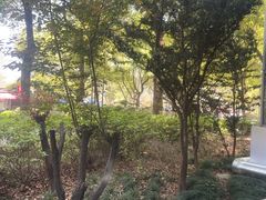 -榖屋house of flour(张江首店)