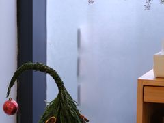 -猫里有甜