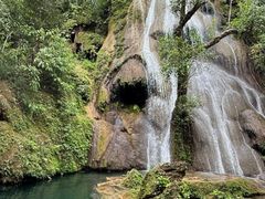 -黄荆老林