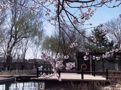 -三里河公园