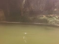 -中铁花水湾四季温泉谷