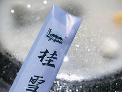 -挂雪铁锅炖大鹅
