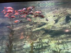 -珠海长隆海洋王国
