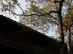 -蒋氏故居