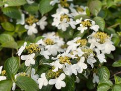 -广州神农草堂中医药博物馆