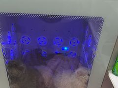 -佳雯宠物医院·皮肤科·内外科(春晓路分院)