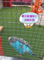 -萌宠亲子动物乐园(槐房万达店)