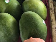 -南沙十九涌渔人码头-南门