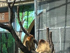 -西安秦岭野生动物园