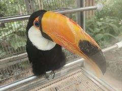 -南宫五洲植物乐园