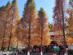 -云南民族村