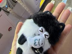 -北京海德酒店温泉