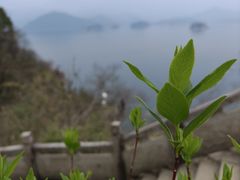 -千岛湖东南湖区