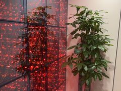 -W·24H茶楼·棋牌·掼蛋(望京店)
