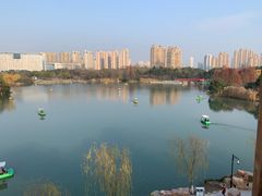 -青枫公园