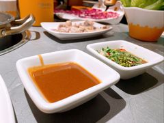 -潮发潮汕牛肉店(东方宝泰店)