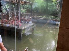 -天怡·鱼工厂(梅溪湖店)