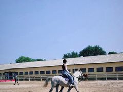 -北京群众马术培训基地