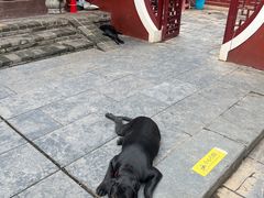 -长春观