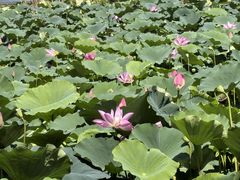 -东钱湖旅游度假区