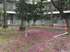 -厦门理工学院(集美校区)
