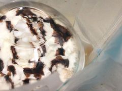 -幸运咖(公园茂直营店)