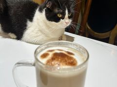-猫小院猫主题餐厅(南锣旗舰店)