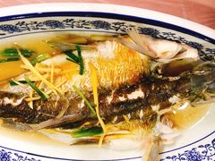 清蒸白水鱼-洞天食府(北大街店)