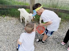 -前小桔亲子创意农场·草莓采摘·露营烧烤