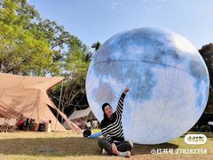 -南宁良凤江国家森林公园