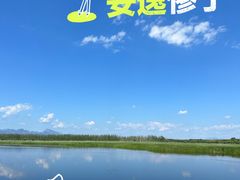 -野鸭湖国家湿地公园