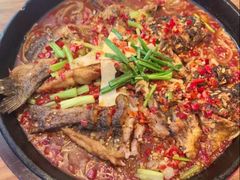 -老板恋上鱼(恒隆广场店)