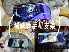 -金砂公园