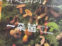 -一朵菌·野生菌探索家火锅(南亚店)