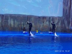 -华夏文旅海洋公园