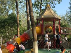 -合肥滨湖国家森林公园