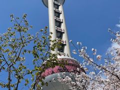 -东方明珠广播电视塔