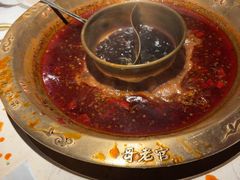 -哥老官重庆美蛙鱼头(西湖银泰十一哥店)