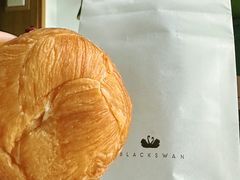 -BLACKSWAN黑天鹅(环球店)