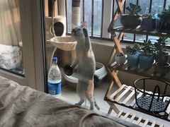 -南山鲜虾面·活鲜小馆·海味大连菜(南山总店)