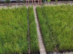-河北村民俗体验园