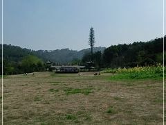 -黄陂区野村谷景区