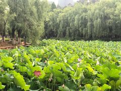 -月牙潭公园