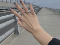 -海堤纪念公园