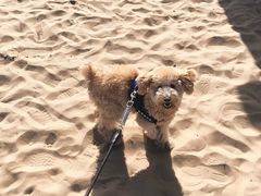 -海天一色海景自助餐厅(西港花园店)