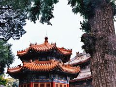 -北京艺术博物馆(万寿寺)