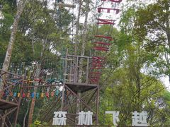 -龙岩森林水乡景区
